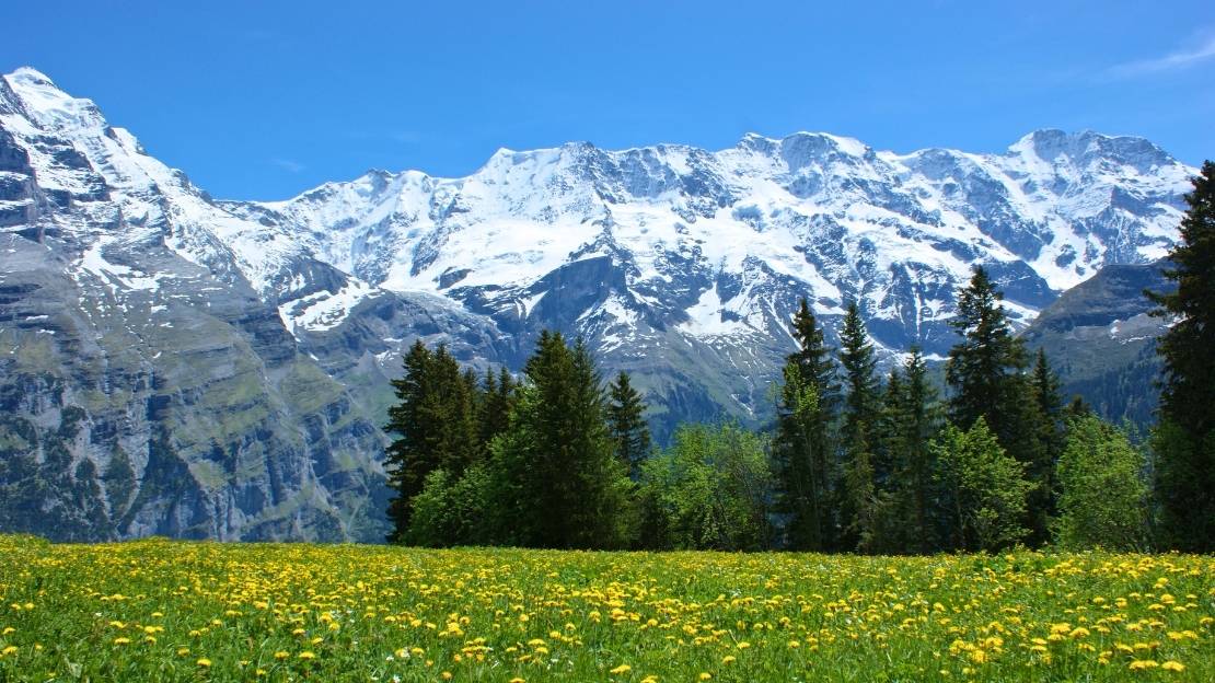 瑞士阿爾卑斯山