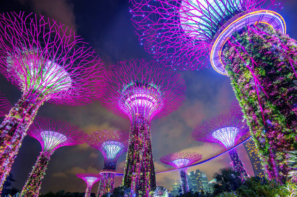 Gardens by the bay